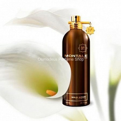 Montale Wild Aoud