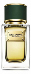Dolce Gabbana (D&G) Velvet Vetiver